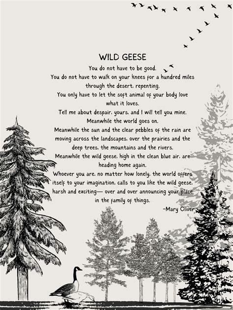 Wild Geese - Mary Oliver | Wild geese mary oliver, Mary oliver poems ...