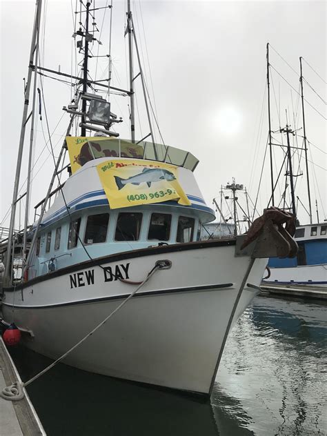 Image result for Geoduck Digging
