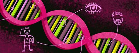 Image result for Genetics Pics