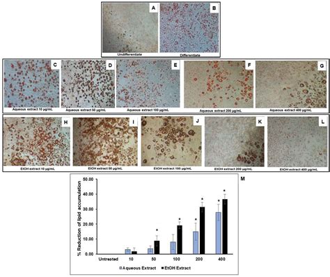 An Evaluation of the Anti-Inflammatory Effects of a Thai Traditional ...