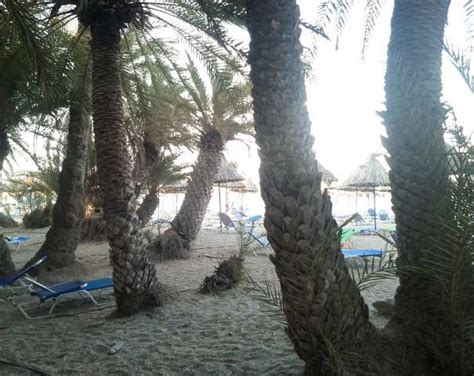 Vai beach Crete - East Lasithi | Crete - Cretamap.com