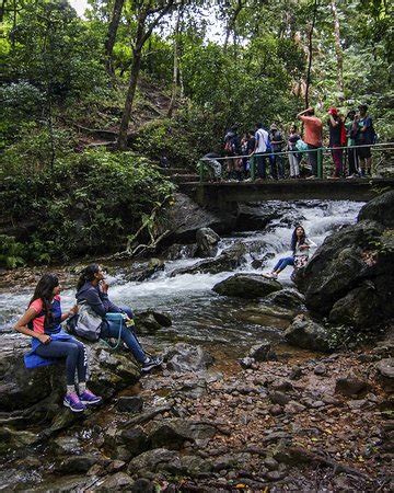 Kodagu (Coorg) Pictures - Traveller Photos of Kodagu (Coorg), Karnataka ...