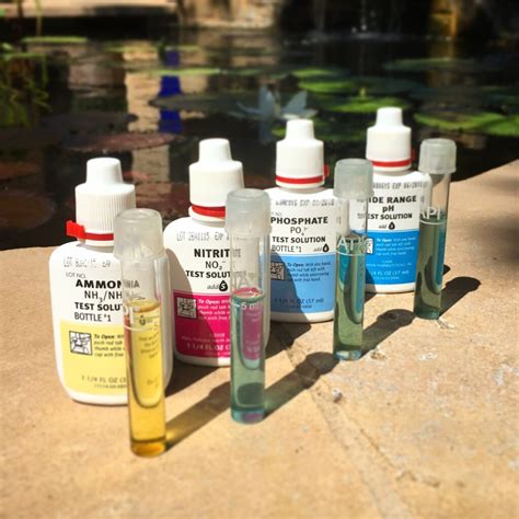 Pond Water Test API 的图像结果