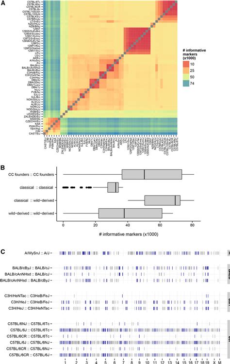 Image result for Muga Scan Lab Results