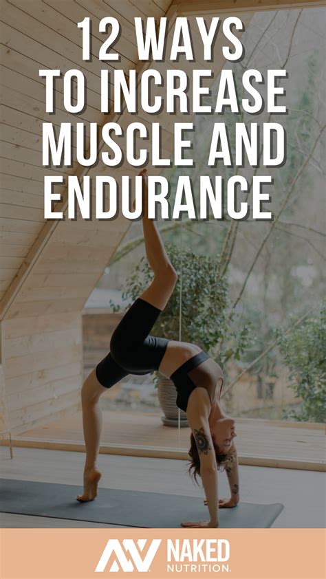 Top 12 muscular endurance exercises to increase strength stamina – Artofit - what improves muscular strength
