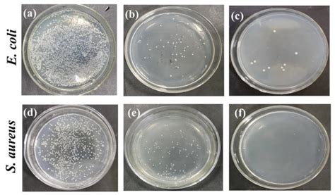 Fabrication and Characterization of Polylactic Acid Electrospun Wound ...