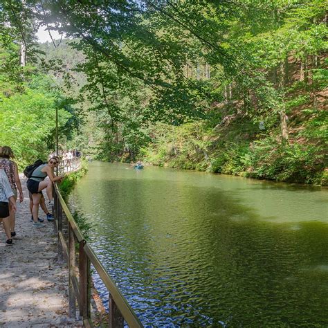 AMSELSEE PROMENADE Guide (2026) All You Need to Know BEFORE You Go ...