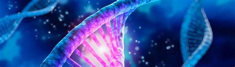 Image result for DNA Reprogramming