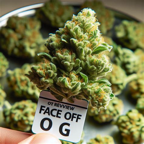 Purring into Bliss: A Comprehensive Review of Meow OG Strain - Cannabis ...