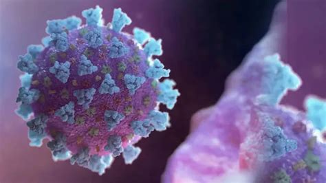 COVID-19: 85 persons test positive in Kerala on Saturday, 53 from ...