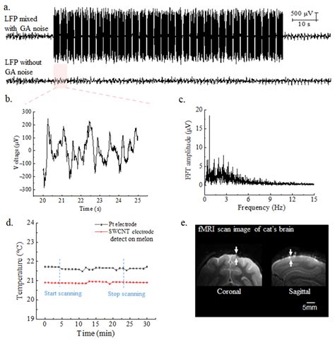 Magnetically Compatible Brain Electrode Arrays Based on Single-Walled ...