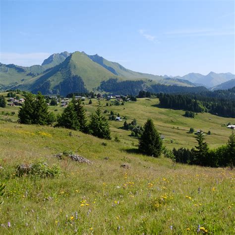 Download wallpaper 3415x3415 landscape, grass, trees, mountains, valley ...