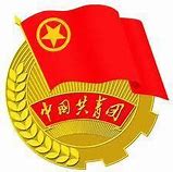 Image result for 共青团员