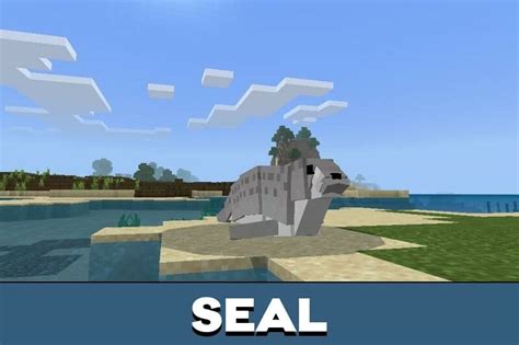 Image result for Minecraft Shark Command Block