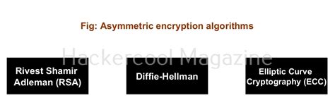 Image result for Algorithm Cryptography Binary