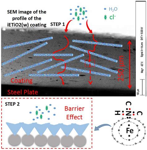 Anti-Corrosive and Scale Inhibiting Polymer-Based Functional Coating ...