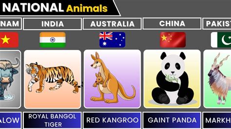 Image result for Animals On Button Moon
