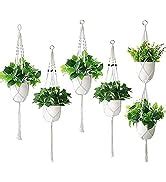 Love N Beyond Aster Macrame Plant Hangers, Unique Designs,Handmade ...