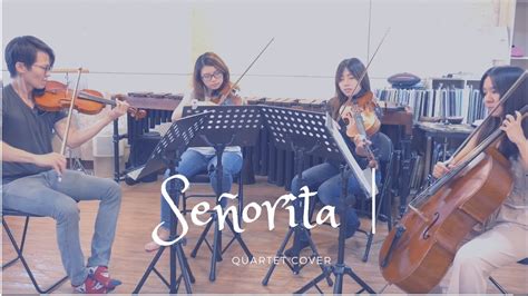 Señorita｜Quartet cover - YouTube