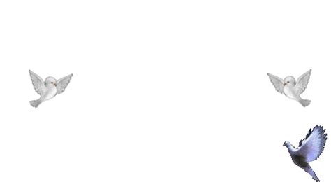 WELCOME TO SS INTERNATIONAL UNIVERSITY