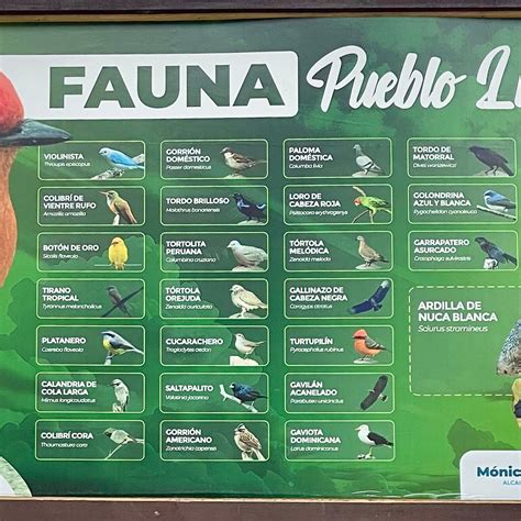 EL OMBÚ (2026) All You Need to Know BEFORE You Go (with Photos ...