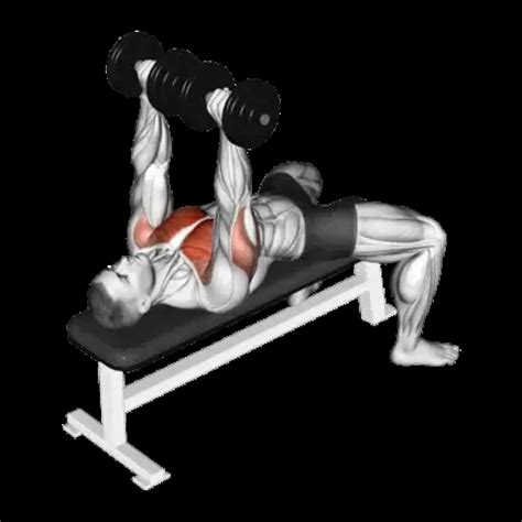 Dumbbell Floor Press: Guide, Muscles Worked, Tips | Athlemove