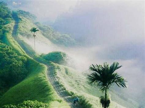 UBUD RICE FIELD TREKKING (2026) All You Need to Know BEFORE You Go ...