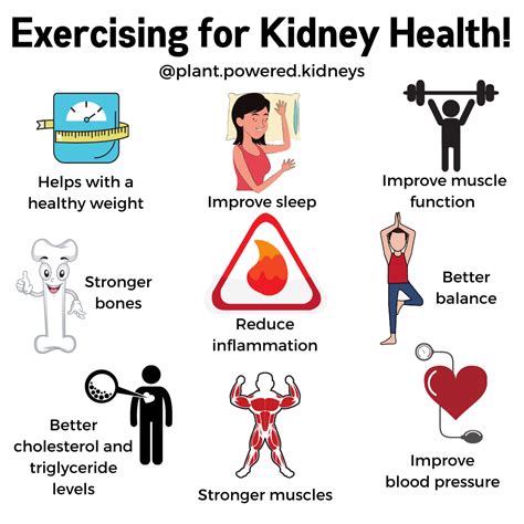 Exercise for Kidneys: Getting Started for Healthy Kidneys