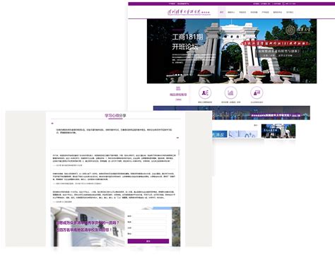 深圳清华大学研究院官方网站设计制作-成功案例-沙漠风网站建设公司