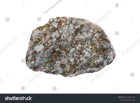 Big Beautiful Conglomerate Clastic Sedimentary Rock Stock Photo ...