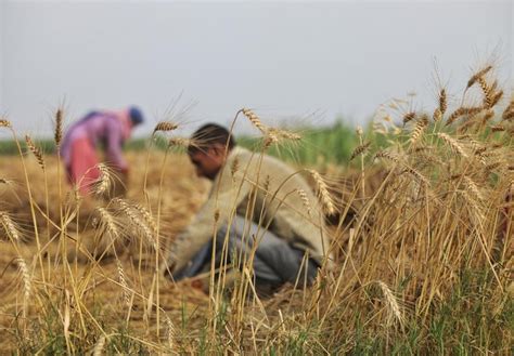 Five-fold rise in farmer protests in India since 2017: CSE analysis