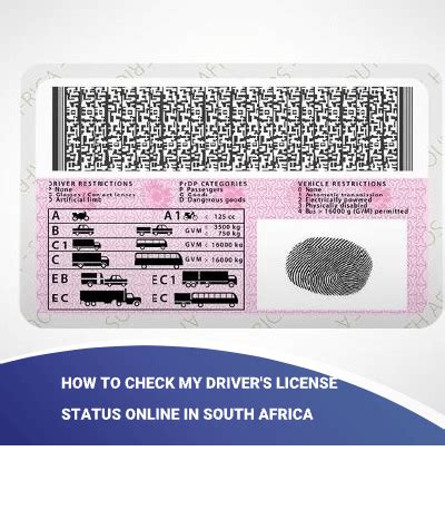 Drivers License Check 的图像结果