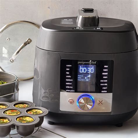 Image result for Prtecision Cooker