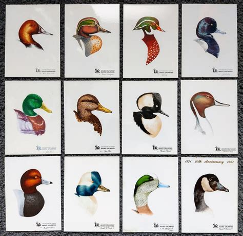 DUCKS UNLIMITED - 1980 to 1994 - (12) Piece Collection. - Etsy