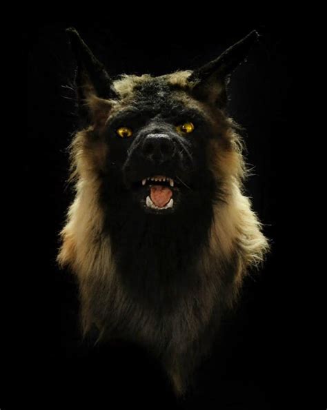 MICHIGAN MONSTERS: Dogman legend continues to howl across state | WWMT