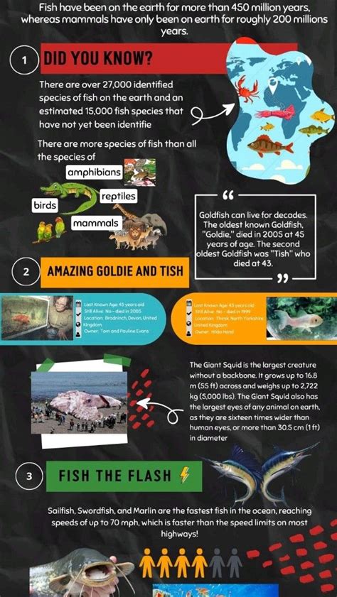 Image result for Fish Facts