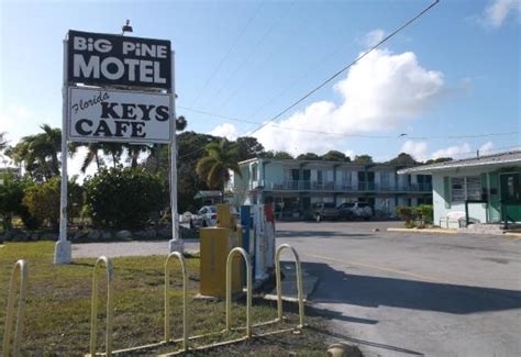 BIG PINE KEY MOTEL - Hotel Reviews, Photos, Rate Comparison - Tripadvisor