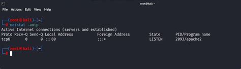 Monitoring Active Connections in Kali Linux Using Netstat - Tech Hyme