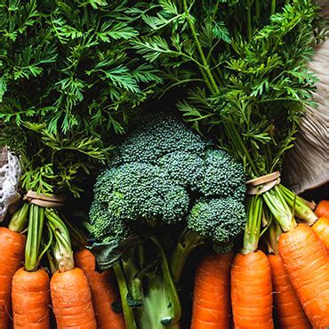 Al Farusia Fruits and vegetables trading llc