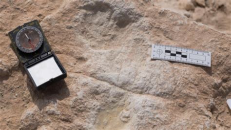 120000 years old human footprints traced in Saudi Arabia | TimesTravel