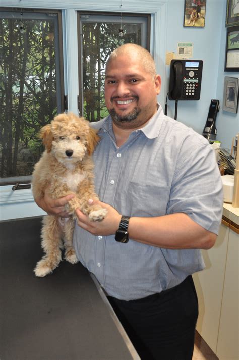 Nico! – Morris Hills Veterinary Clinic