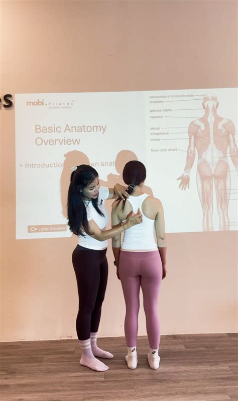 https://www.mobipilates.com/storage/app/uploads/public/694/f85/e85/694f85e858d83452411447.jpg