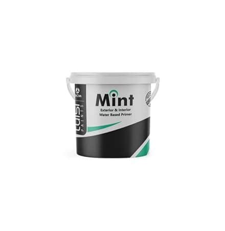 Tulsi Paints Mintz Exterior and Interior Waterbased Primer 4 Liters (1 ...