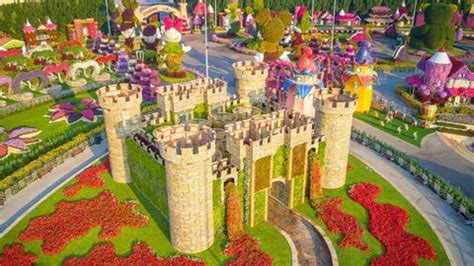 Miracle Garden Dubai Opens For The Season: Tickets, Timings And More