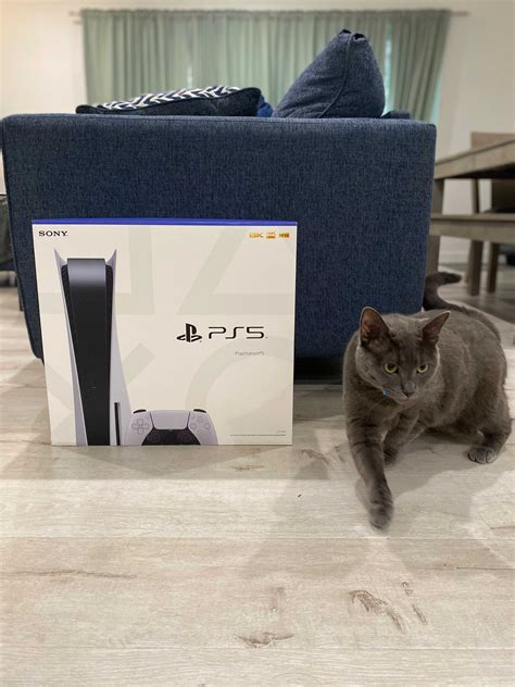 Slideshow: PS5 Box Pictures