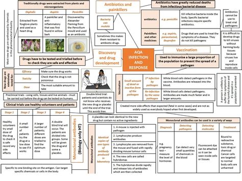Biology Mind Map 的图像结果