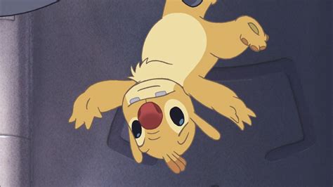 Lilo And Stitch Reuben Wallpaper