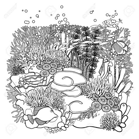Coral Reef Coloring Page at GetColorings.com | Free printable colorings ...