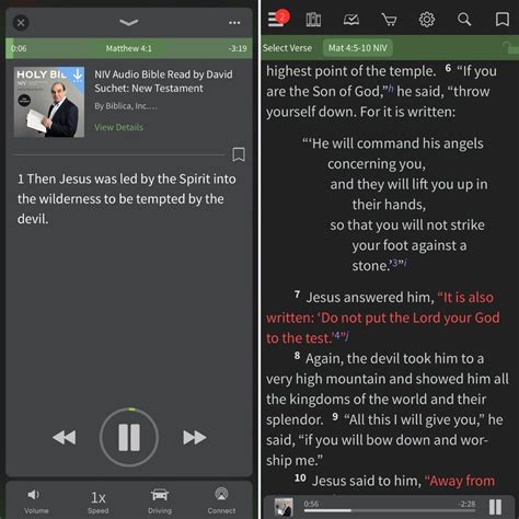 Image result for Audio Scriptures