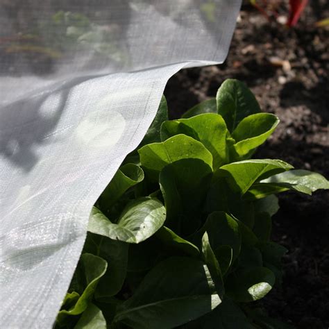 Image result for Insect Mesh Netting